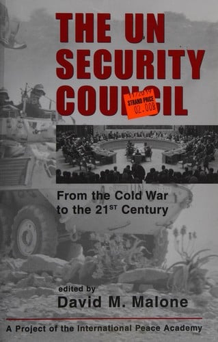 The UN Security Council