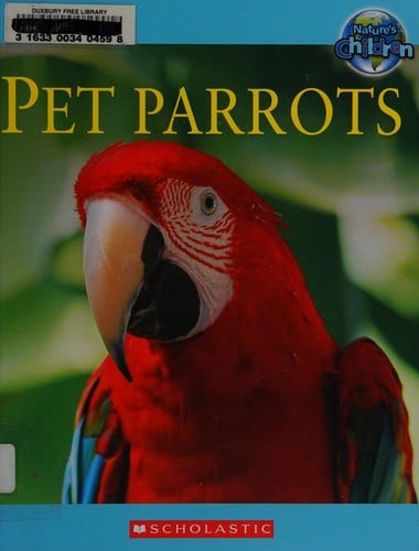 Pet Parrots