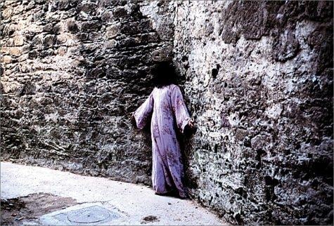 Shirin Neshat
