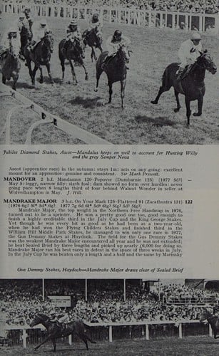 Racehorses of