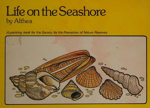 Life on the seashore