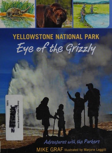 Yellowstone National Park :  eye of the grizzly