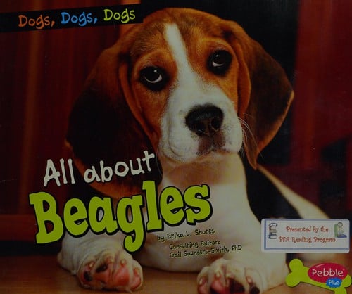 All about beagles