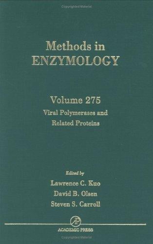 Viral polymerases and related proteins