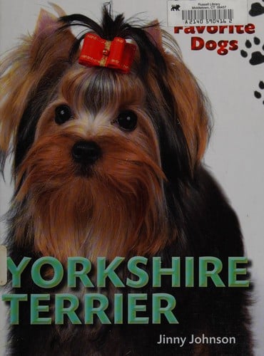 Yorkshire terrier