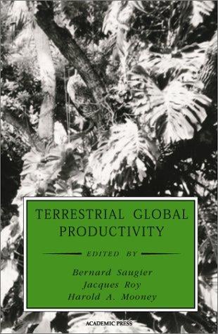 Terrestrial global productivity