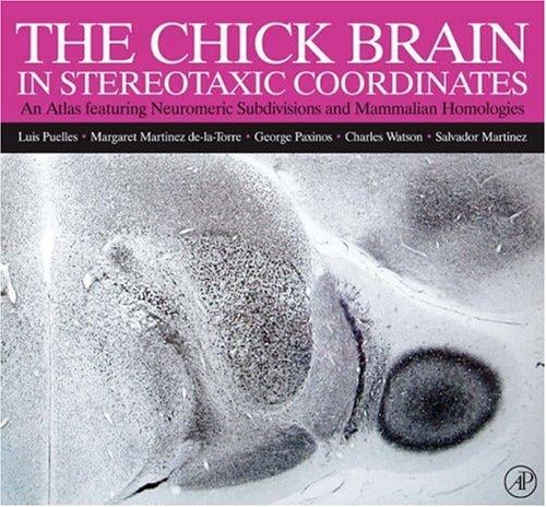 The chick brain in stereotaxic coordinates