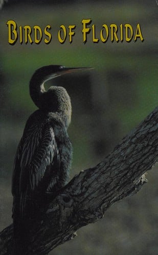 Birds of Florida