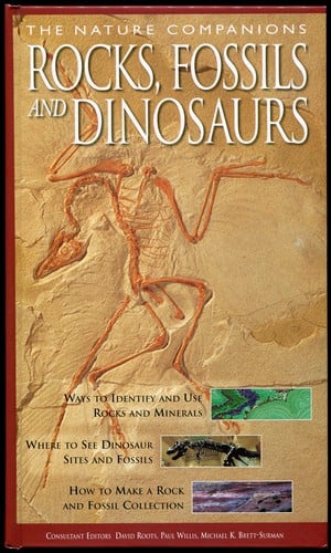 Rocks, Fossils and Dinosaurs