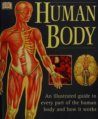 Human body