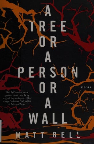 A tree or a person or a wall