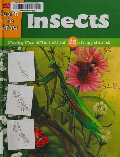 Learn to draw insects