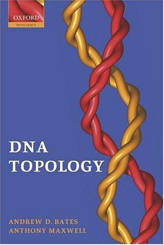 DNA topology