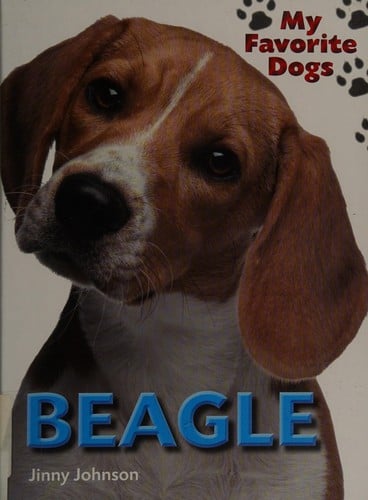 Beagle