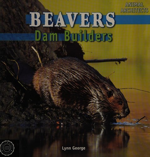 Beavers