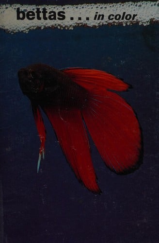Bettas - in color