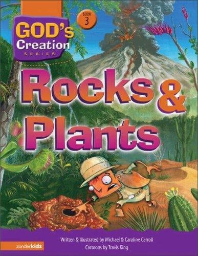 Rocks & plants