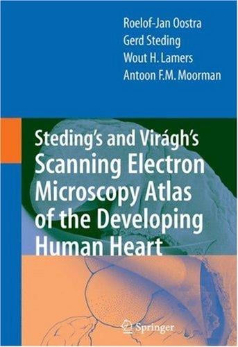 Steding's and VirÃ¡gh's Scanning Electron Microscopy Atlas of the Developing Human Heart