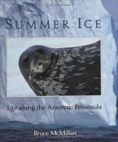 Summer ice