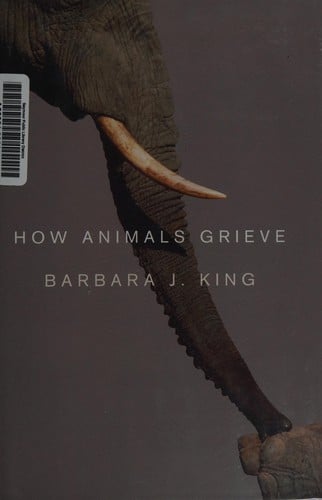How animals grieve