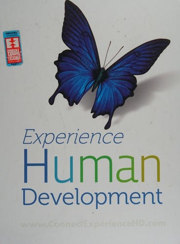 Experience human development