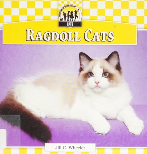 Ragdoll cats