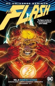 The Flash, Vol. 4