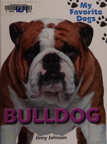 Bulldog