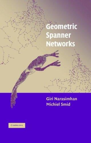 Geometric spanner networks