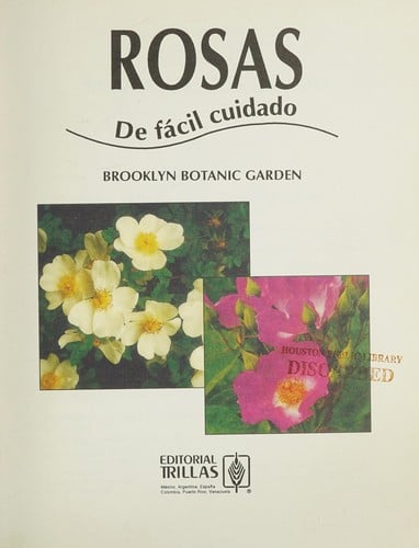Rosas de fácil cuidado