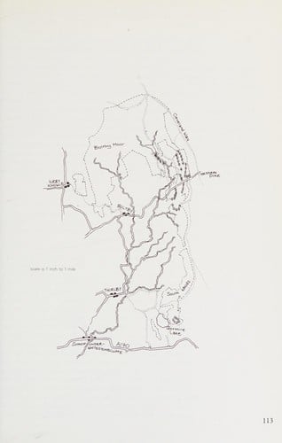 Get to know the forests of Northern England