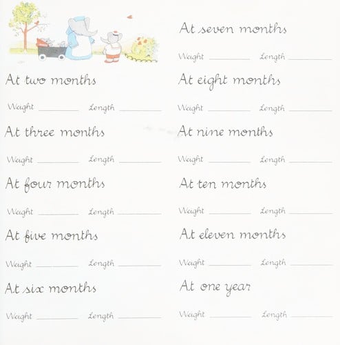 Babar's baby book