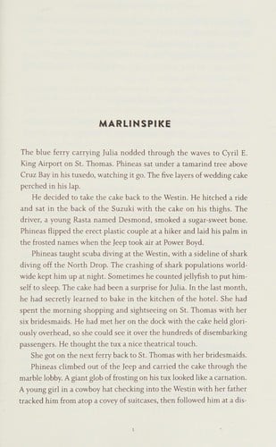 A boy's book of nervous breakdowns