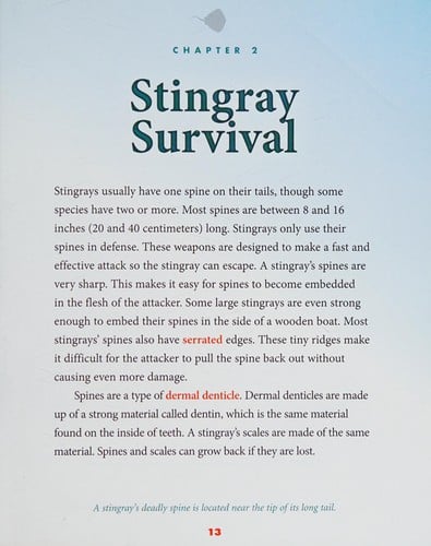 Stingrays