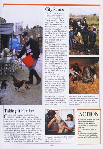 Blue Peter Action Book