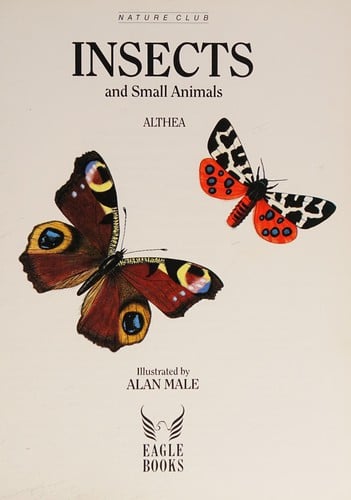 Insects and small animals