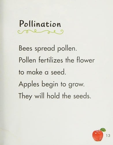 Apples grow on a tree