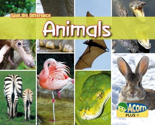Can you spot the difference? animals
