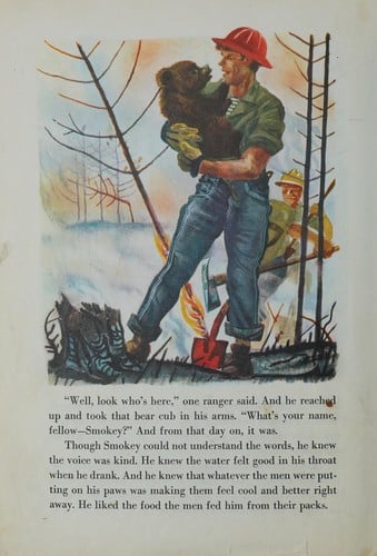The True Story of Smokey the Bear (A Big Golden Book)