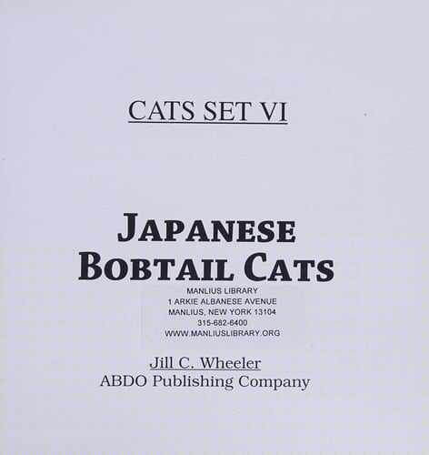Japanese bobtail cats