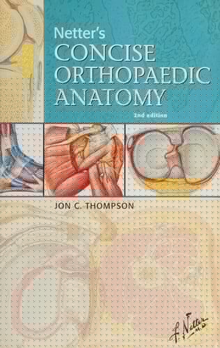Netter's concise orthopaedic anatomy