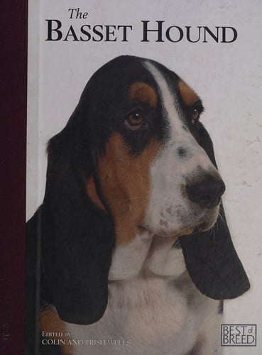 The basset hound