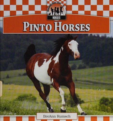 Pinto horses
