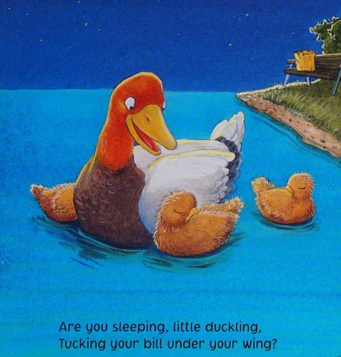 Are you sleeping, little one?