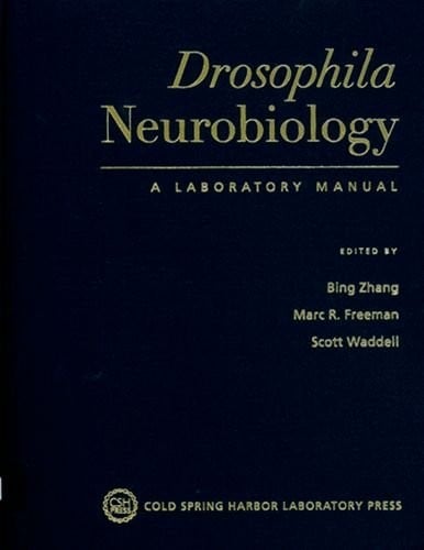 Drosophila neurobiology