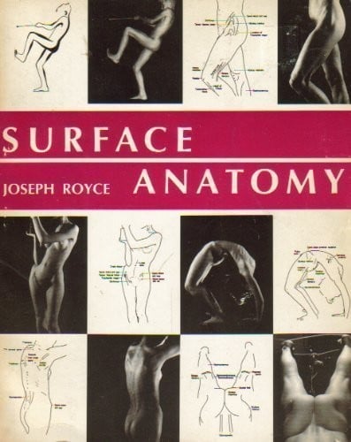 Surface anatomy