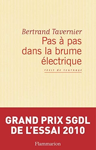 Pas à pas dans la brume électrique
