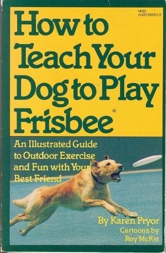 How to teach your dog to play frisbee