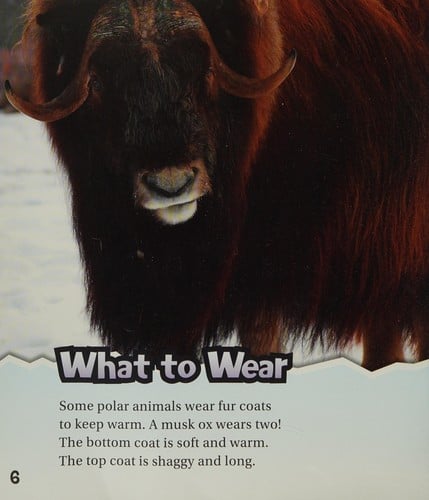 Polar animal adaptations