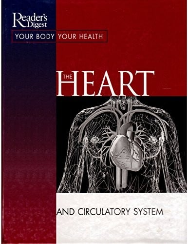 The heart and circulatory system.